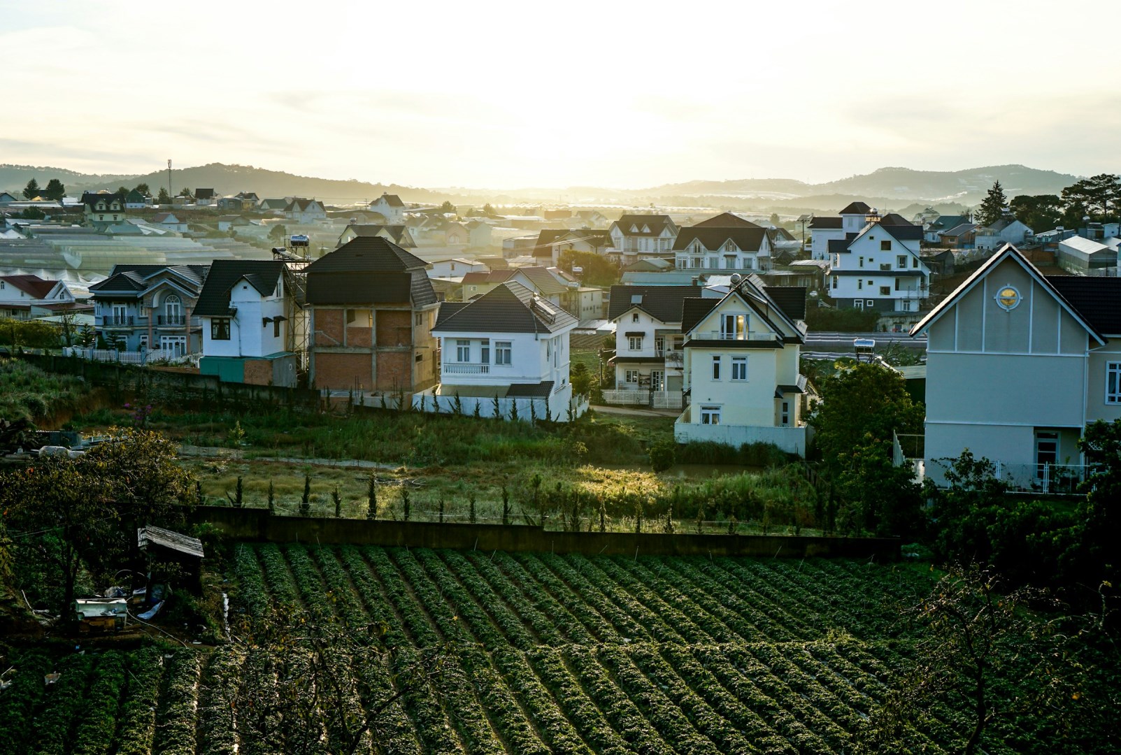  Photo Credit: Photo by Đằng Nguyễn on Unsplash