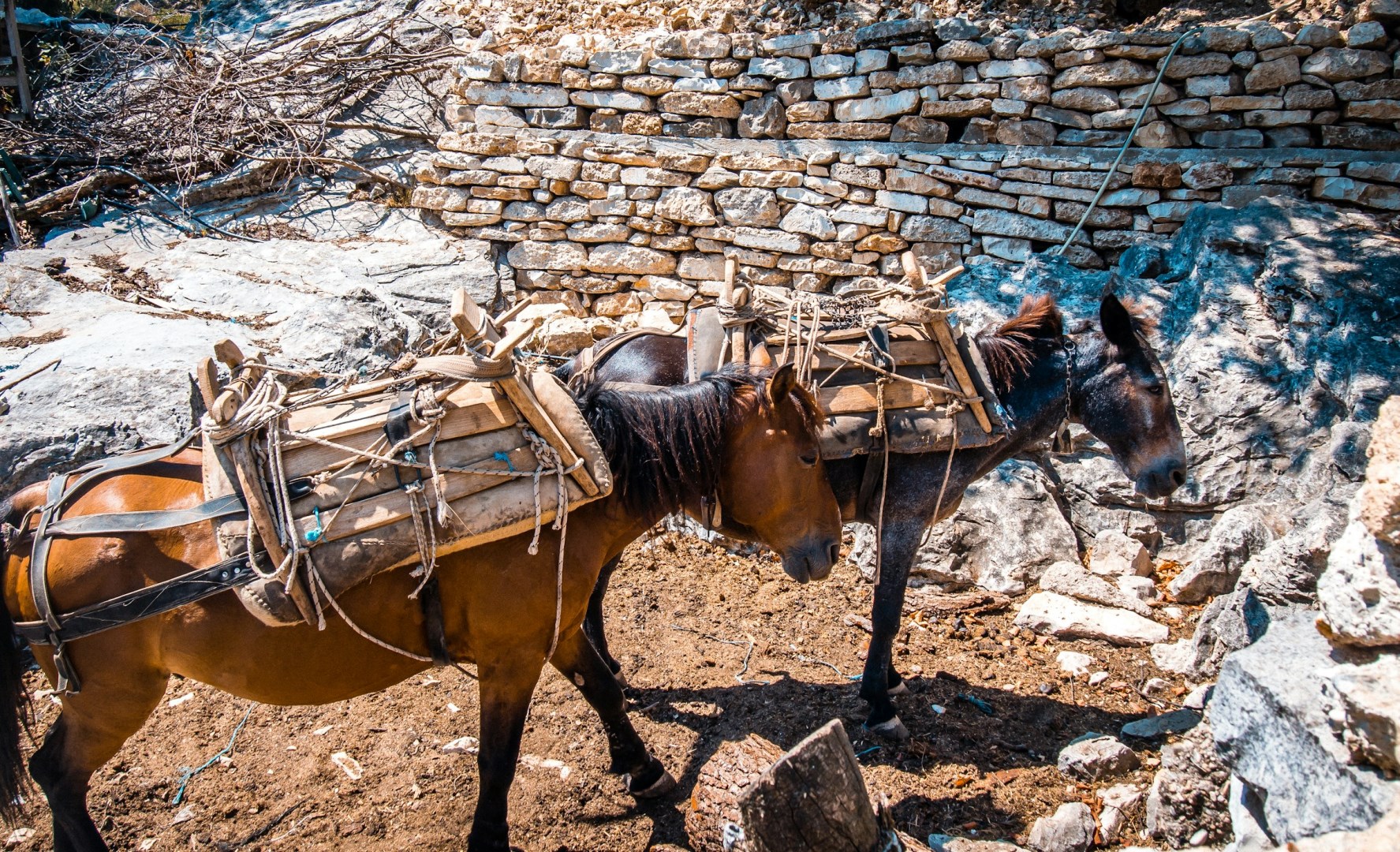  Photo Credit: Photo by Adventure Albania on Unsplash