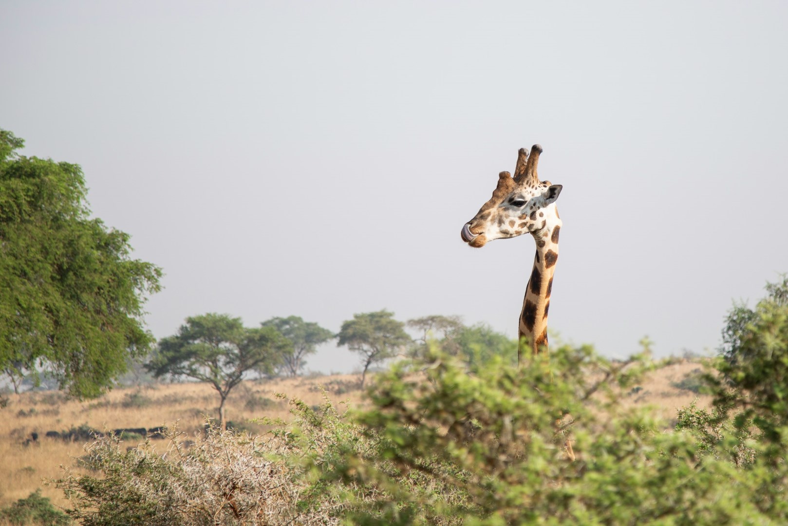  Photo Credit: Photo by Sam Balye on Unsplash