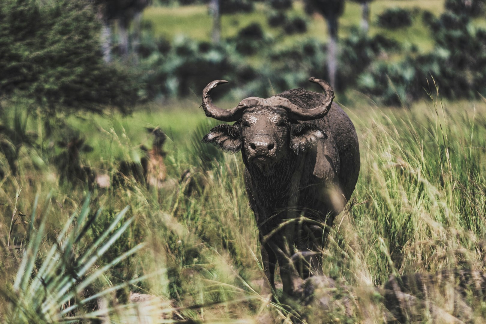  Photo Credit: Photo by Michael Starkie on Unsplash