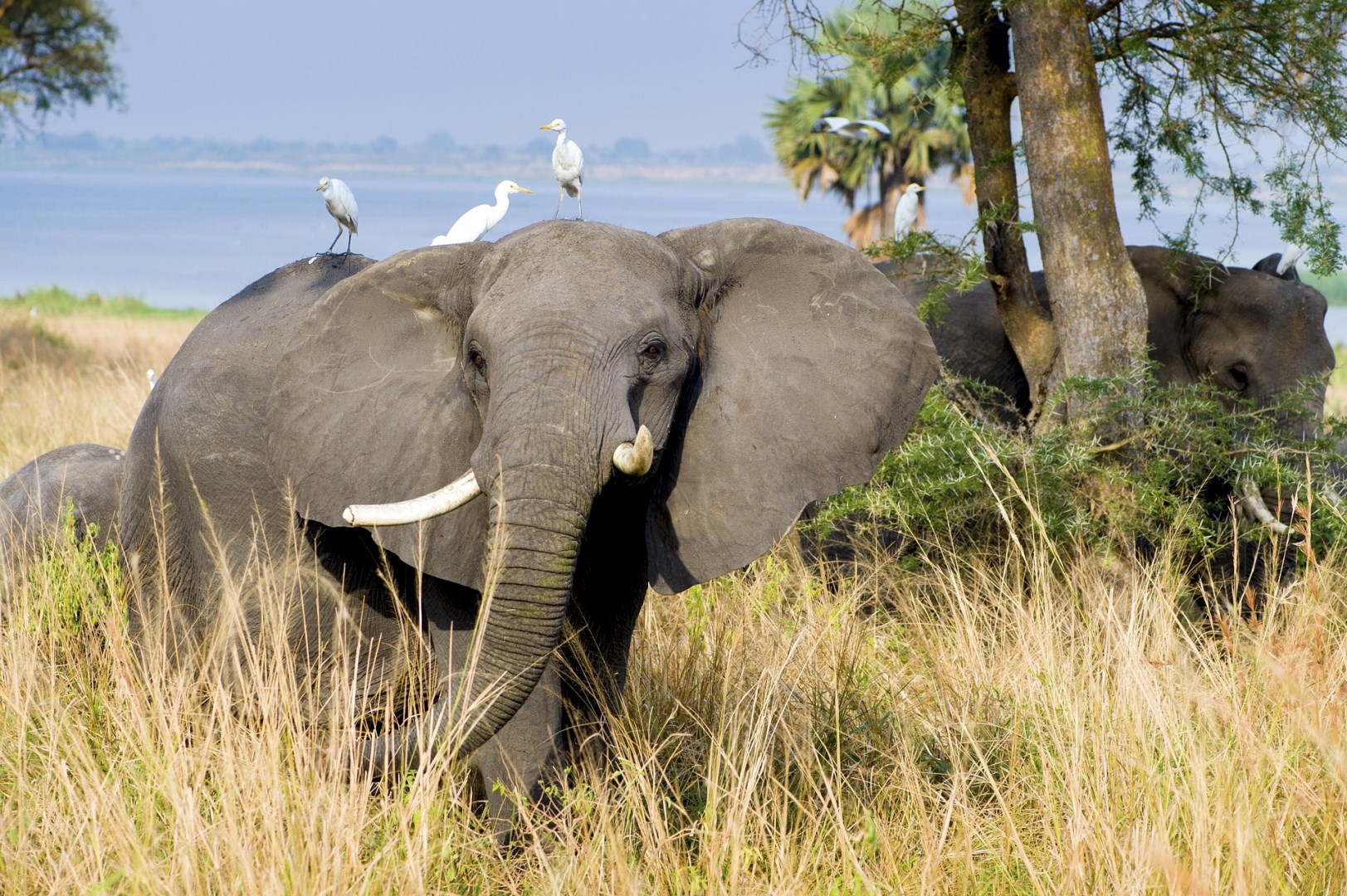  Photo Credit: Image by Reinout Dujardin from Pixabay