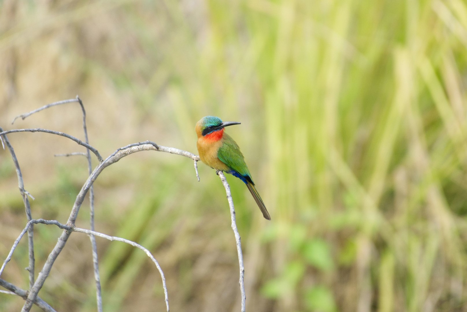  Photo Credit: Photo by Jonathan Göhner on Unsplash