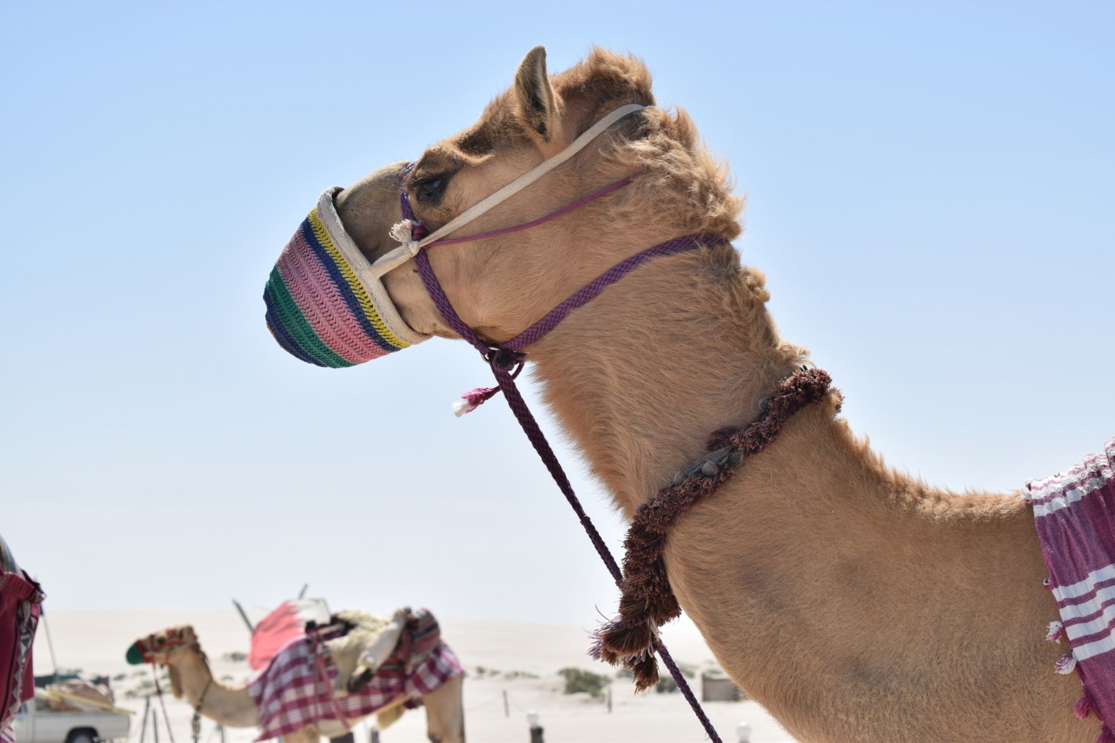  Photo Credit: Photo by Eirini Pollali on Unsplash