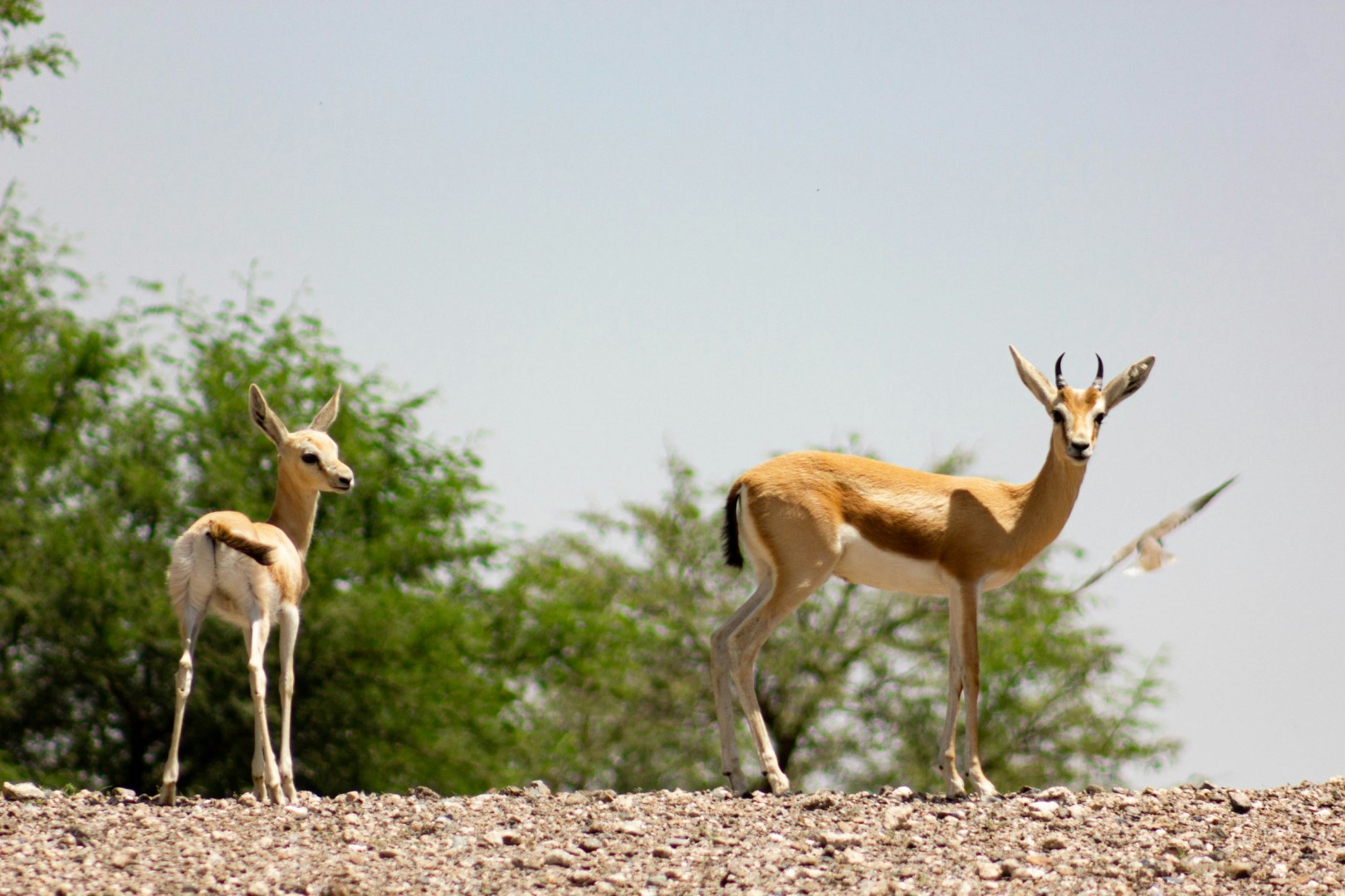  Photo Credit: Photo by Taru Goyal on Unsplash