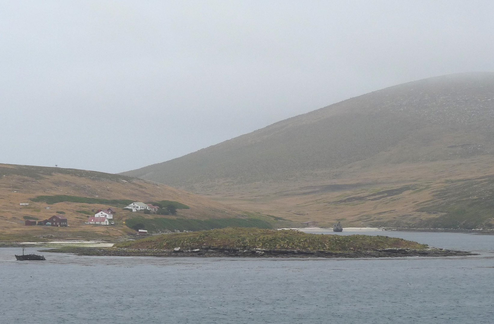 New Island