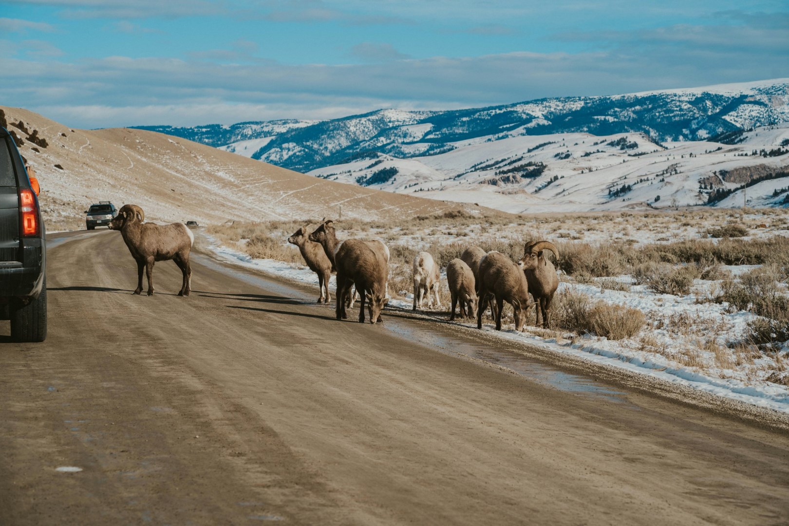  Photo Credit: Photo by Nevels Media on Unsplash