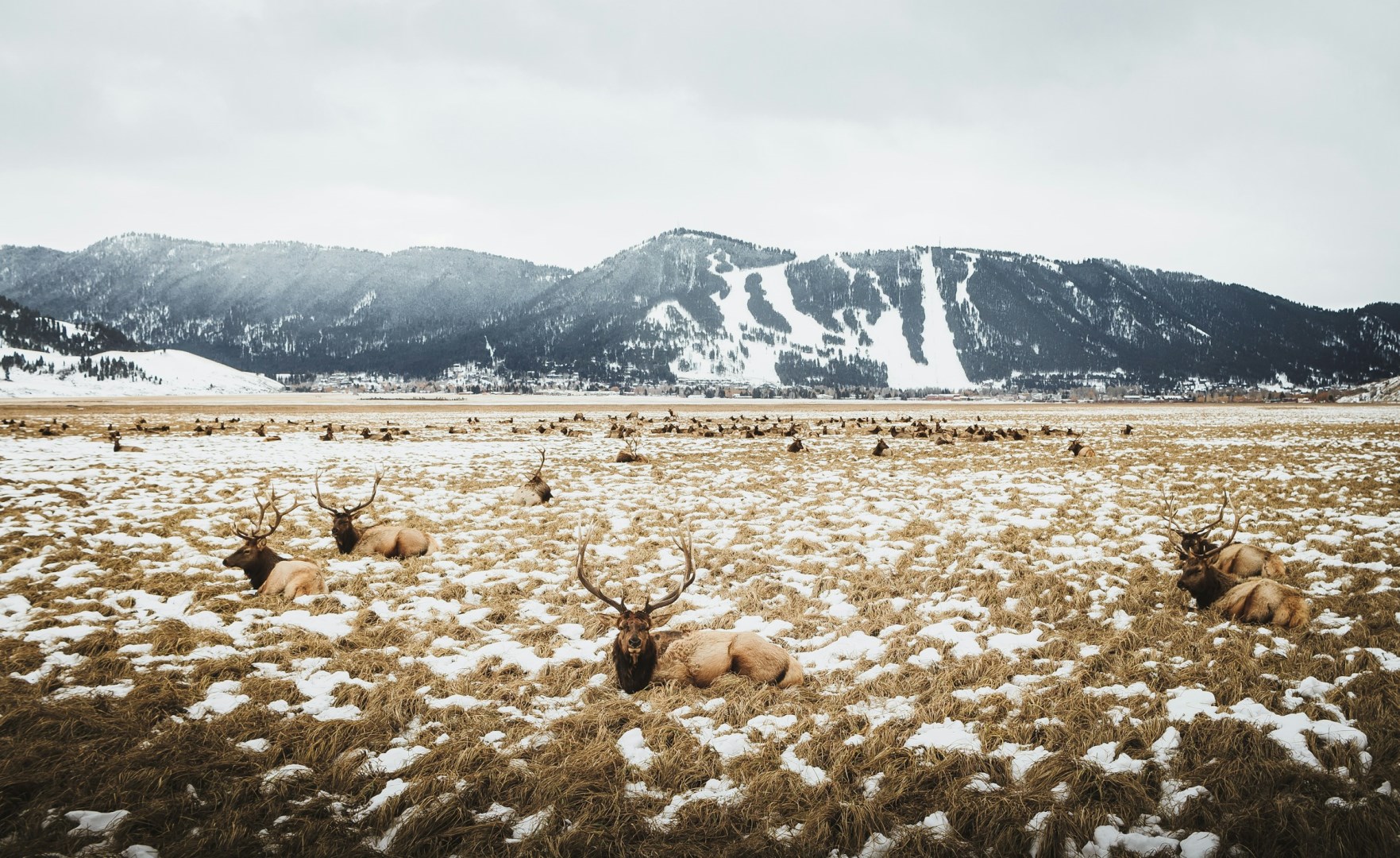  Photo Credit: Photo by Pétrin Express on Unsplash
