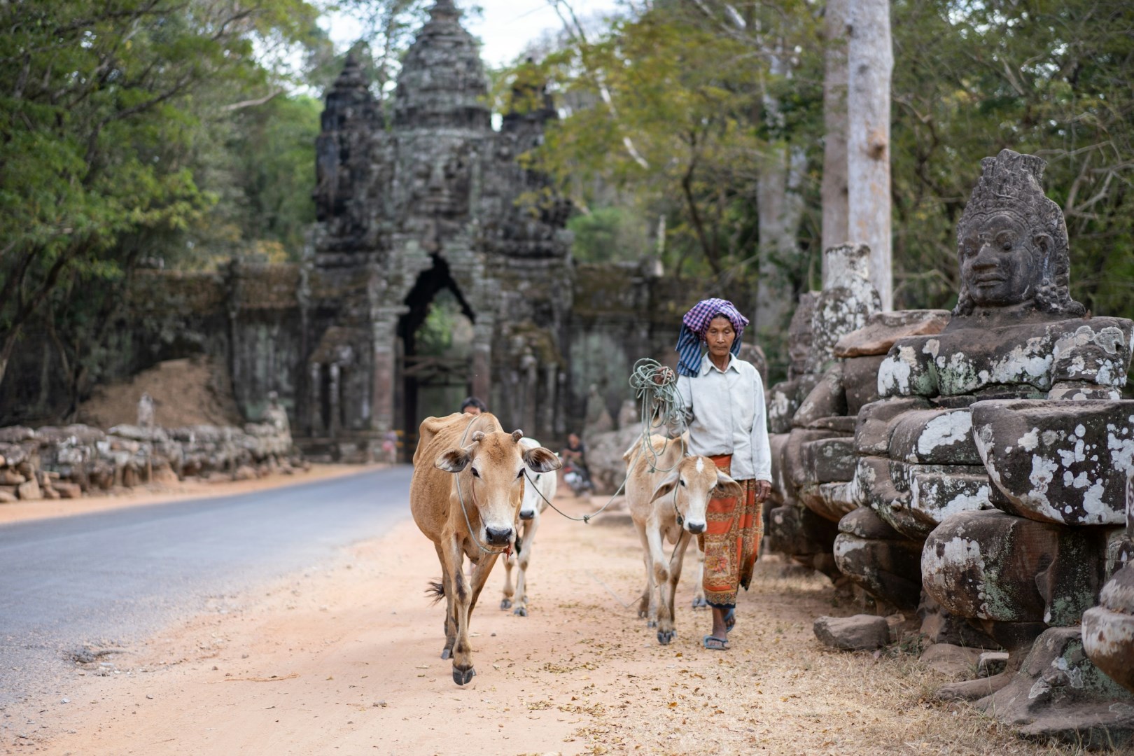  Photo Credit: Photo by Angkor Feel on Unsplash