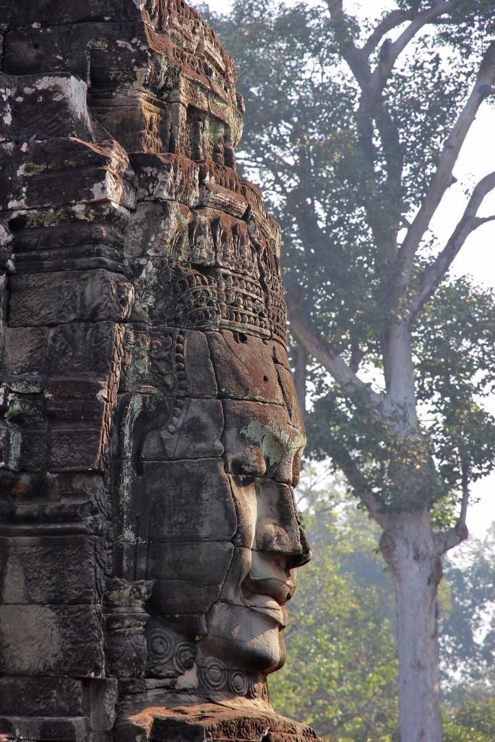 Photo Credit: Sushuti