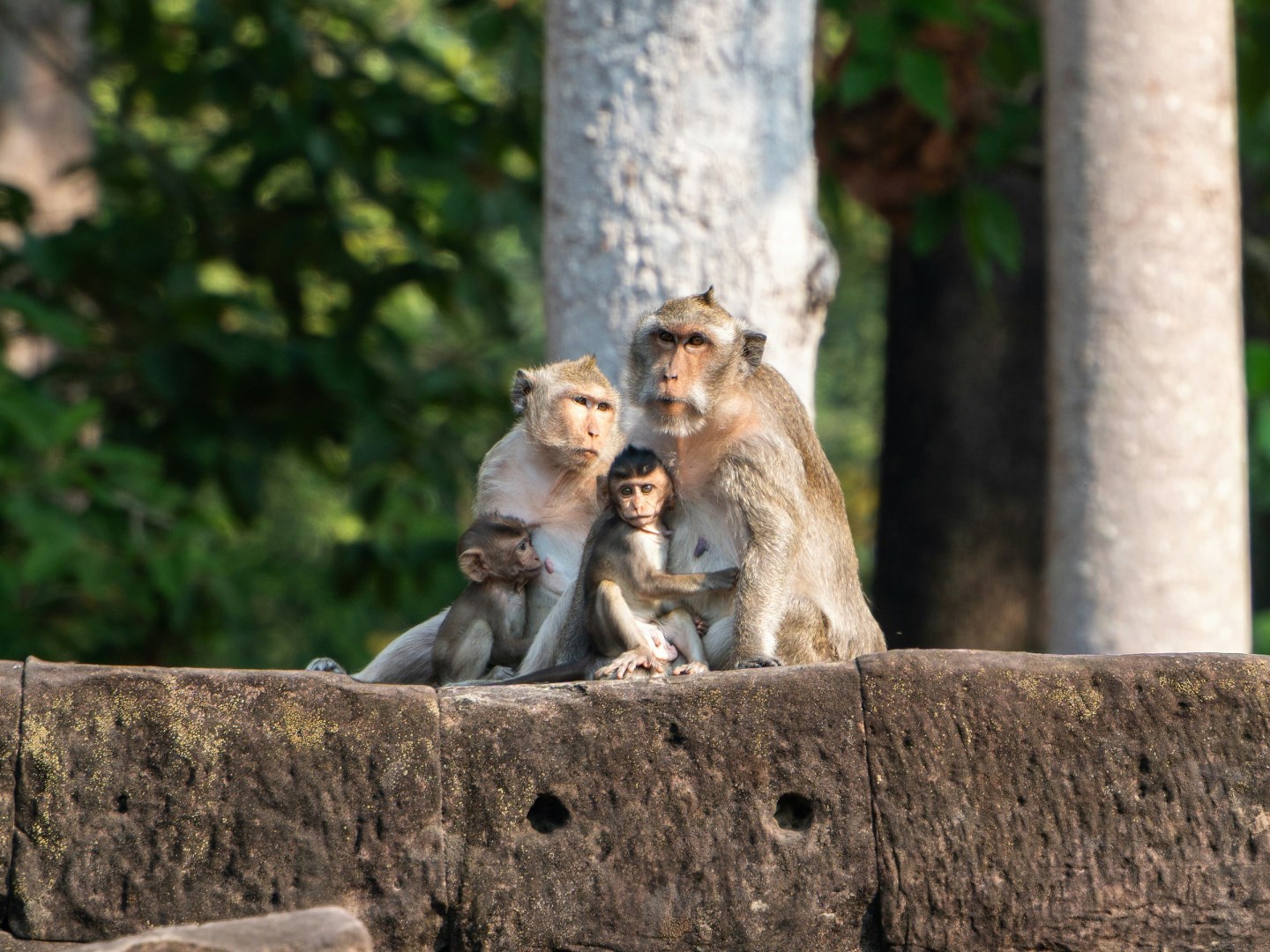  Photo Credit: Photo by Niels Baars on Unsplash
