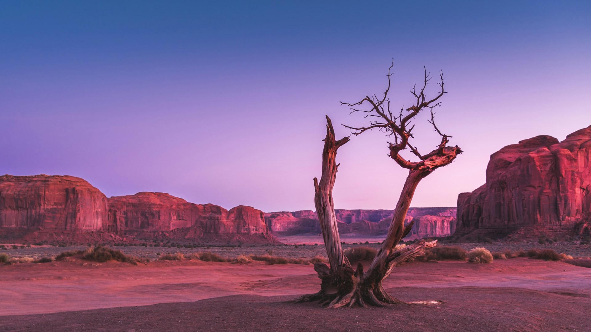  Photo Credit: Photo by Ganapathy Kumar on Unsplash