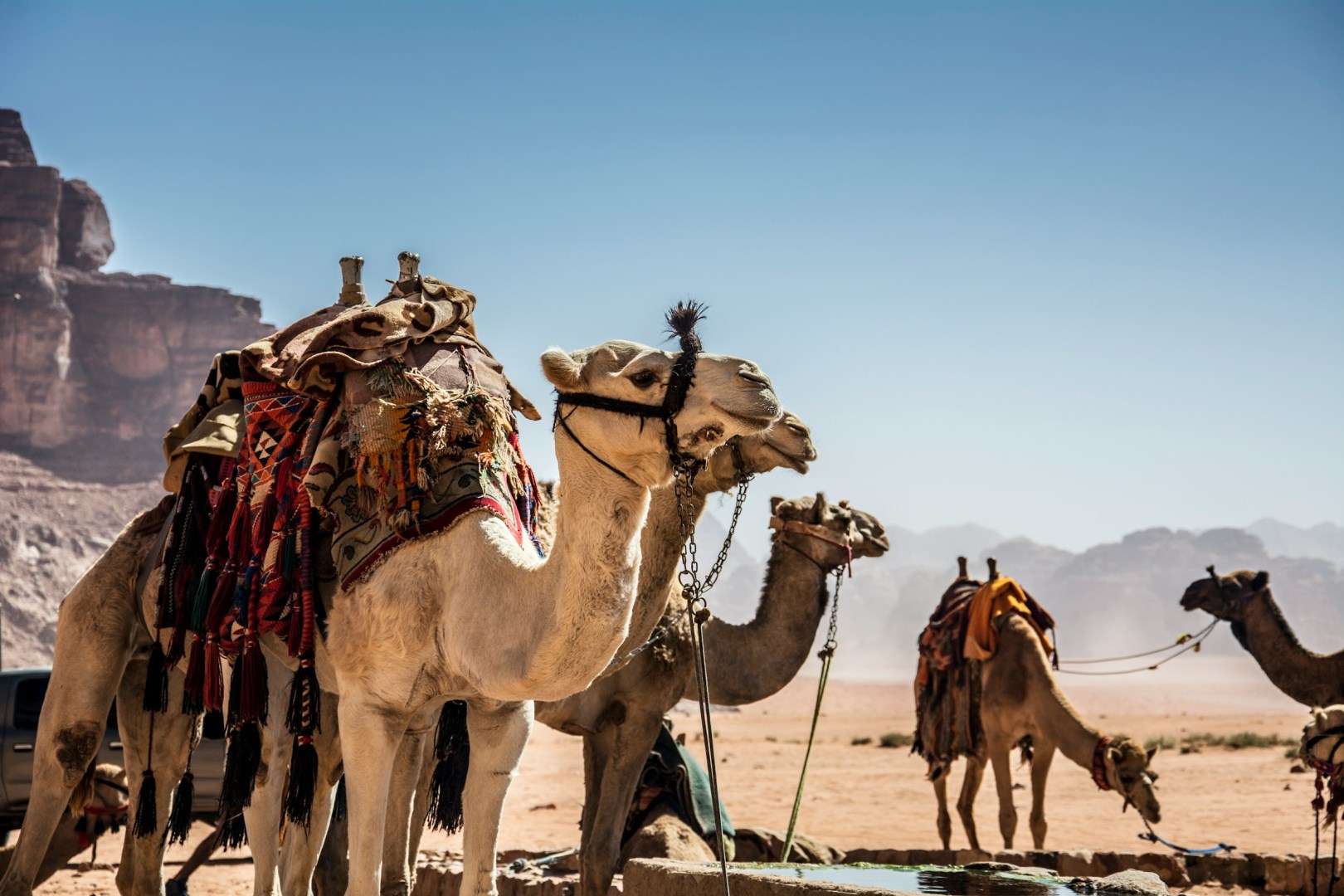  Photo Credit: Photo by Konstantinos Kaskanis on Unsplash