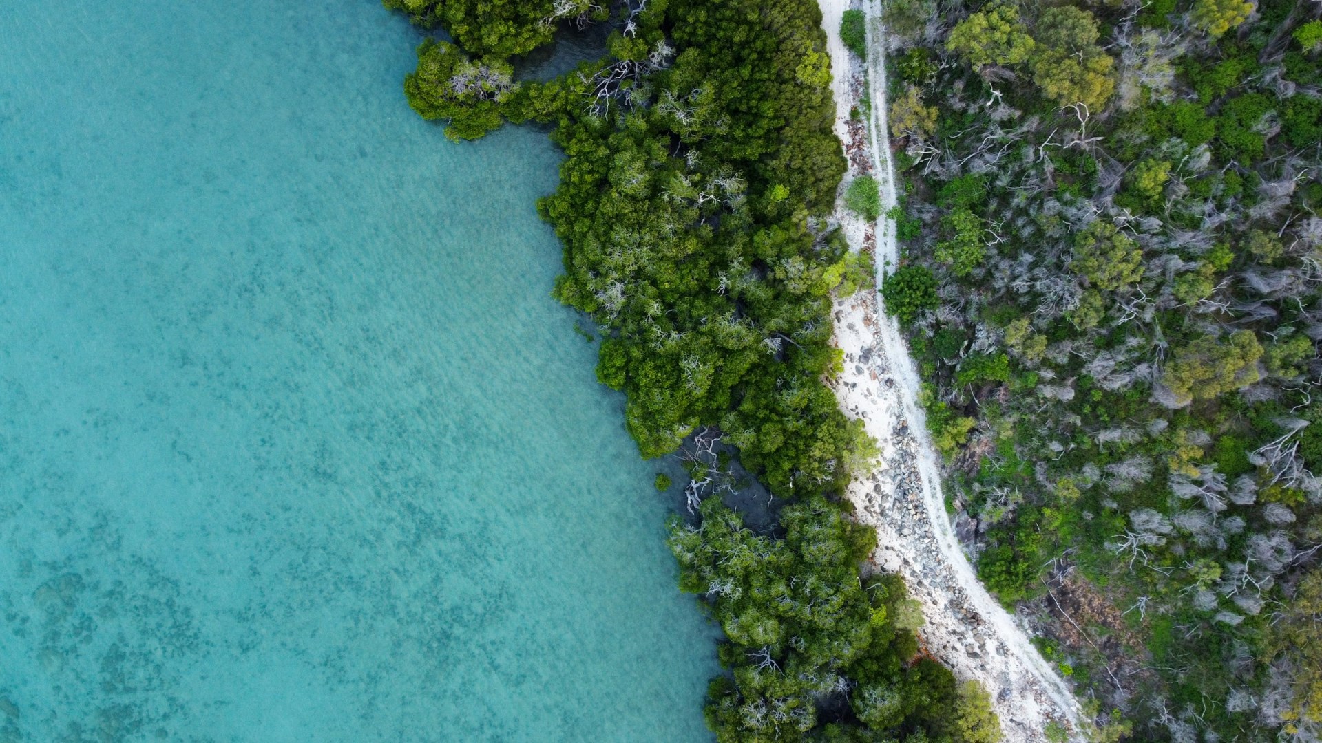 Orpheus Island