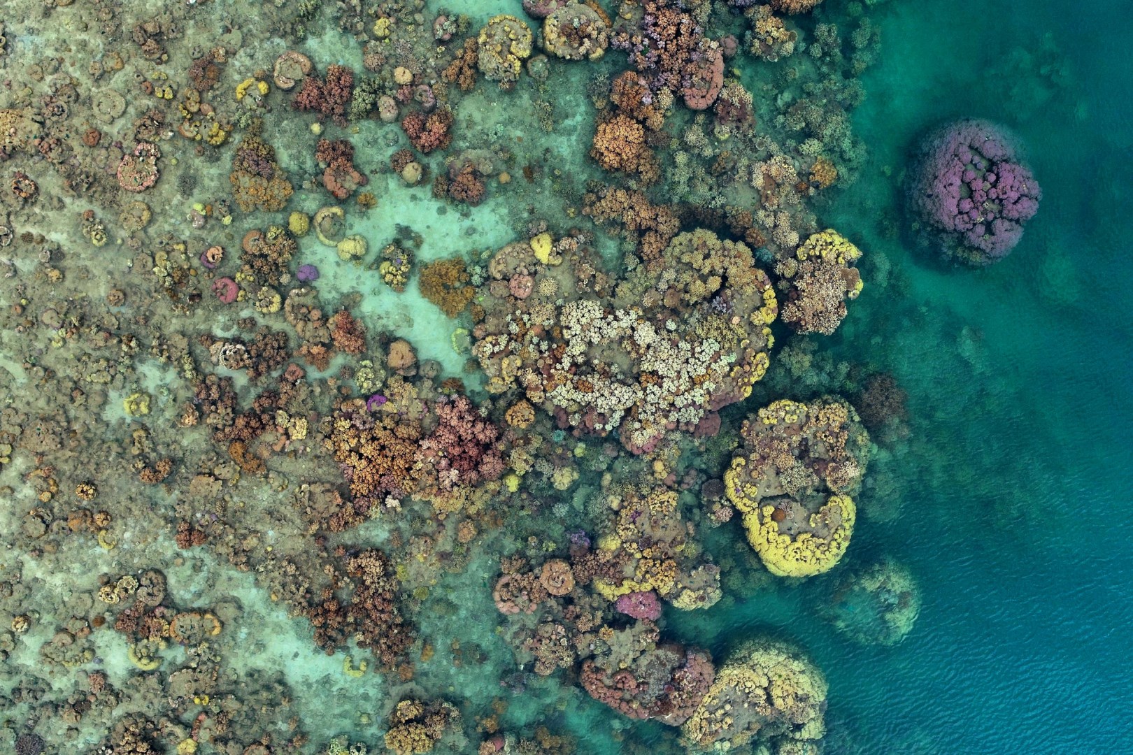 Yanooa Reef - Photo Credit: Photo by GeoNadir on Unsplash