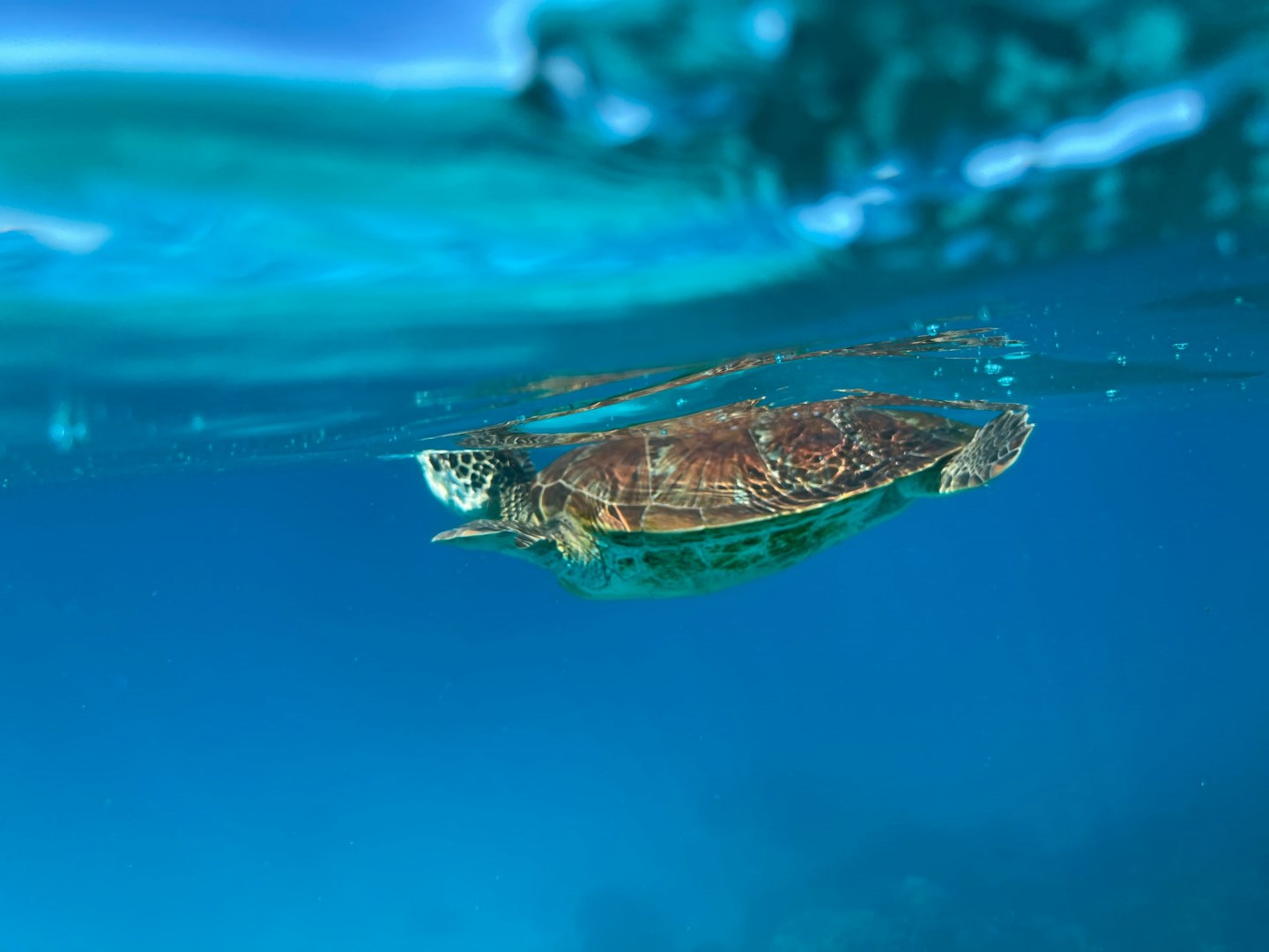  Photo Credit: Photo by Andy Bridge on Unsplash