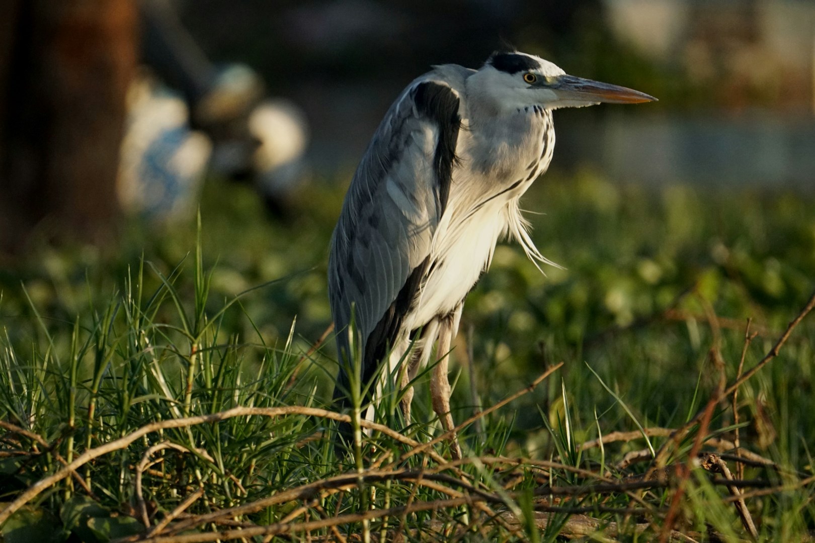  Photo Credit: Photo by Vladan Raznatovic on Unsplash