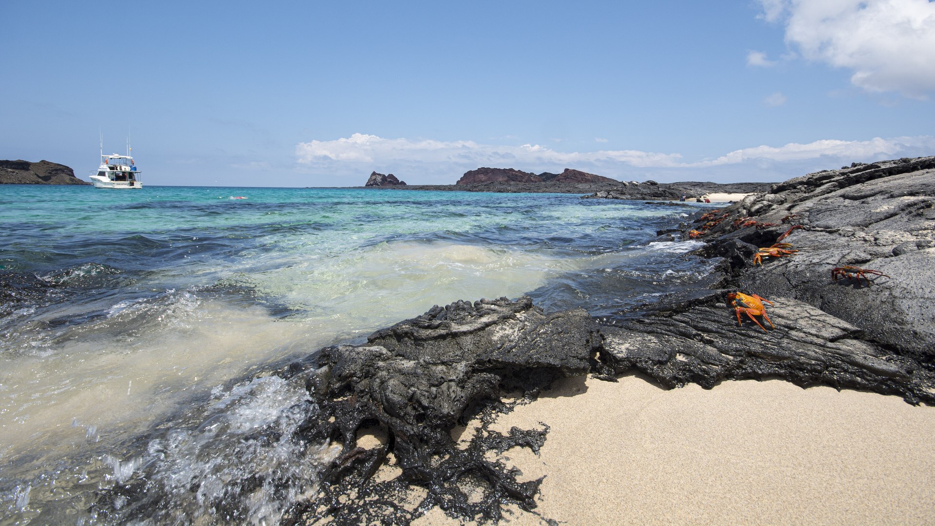  Photo Credit: Photo by kuhnmi from Wikimedia