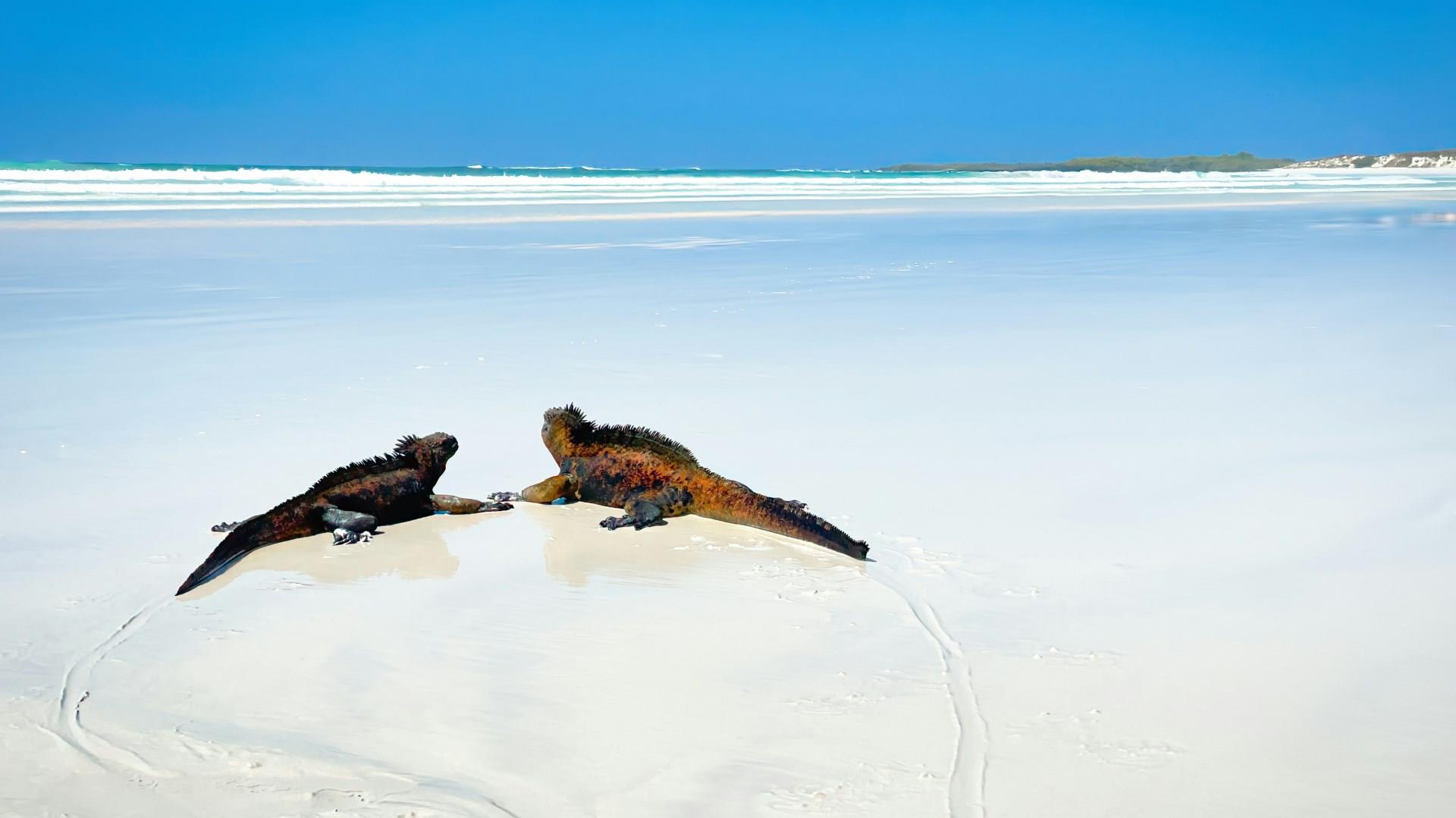 Santa Cruz Island