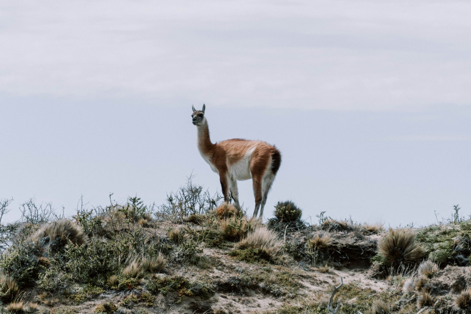  Photo Credit: Photo by Agustin Visconti on Unsplash
