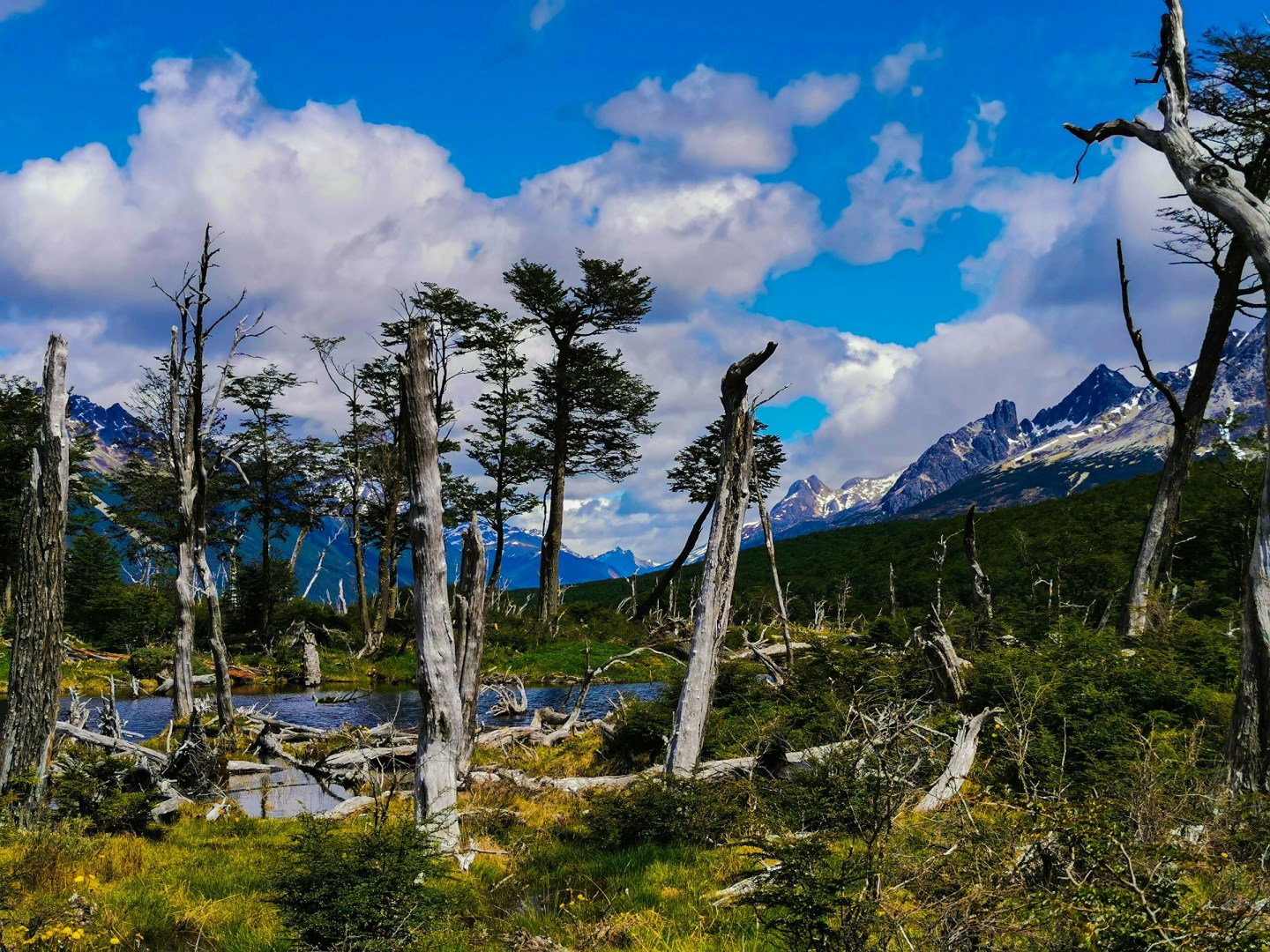  Photo Credit: Photo by Florian Delée on Unsplash