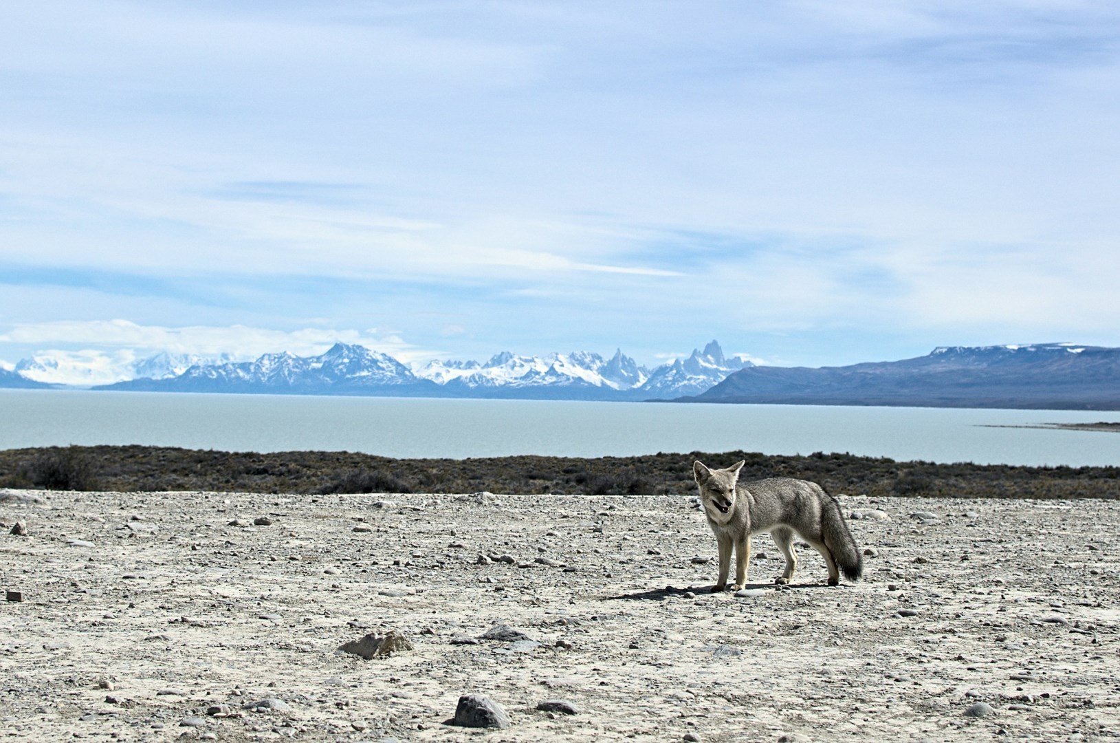  Photo Credit: Photo by Aquiles Carattino on Unsplash