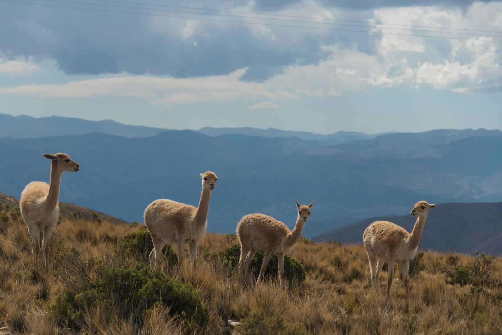  Photo Credit: Photo by Kylli Kittus on Unsplash
