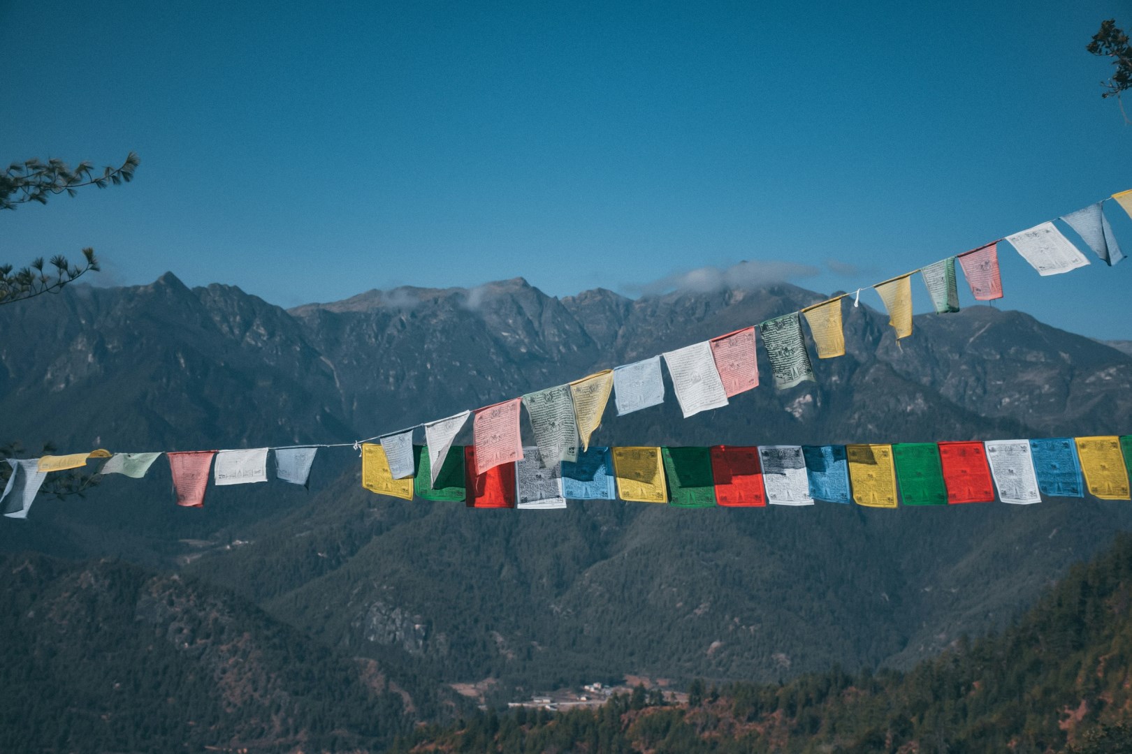  Photo Credit: Photo by Darpan on Unsplash
