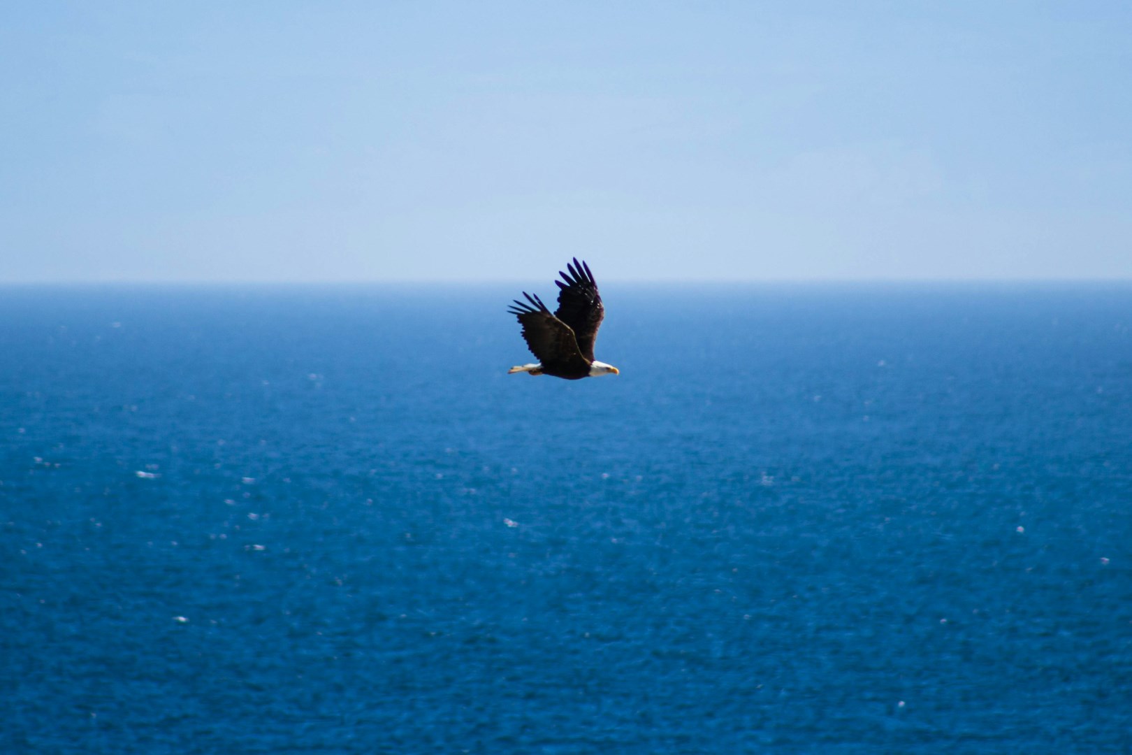 Photo Credit: Photo by Ryan Stone on Unsplash