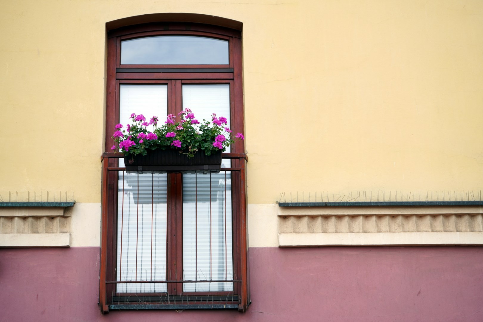  Photo Credit: Photo by Tadeusz Zachwieja on Unsplash
