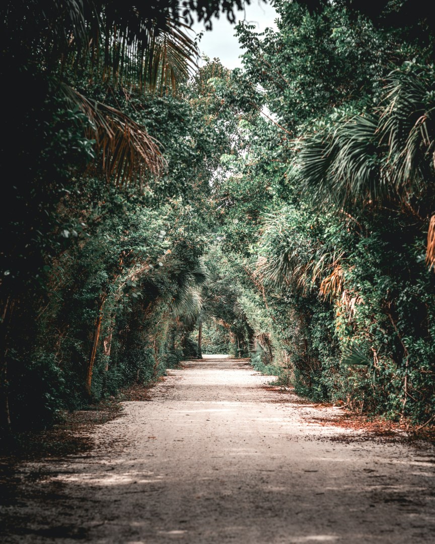  Photo Credit: Photo by Michael J. Vega on Unsplash