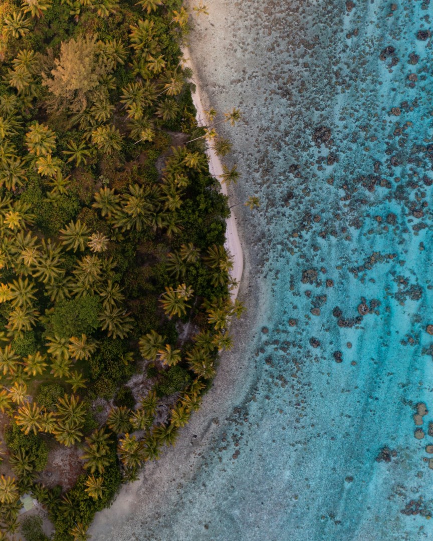  Photo Credit: Photo by Roman on Unsplash