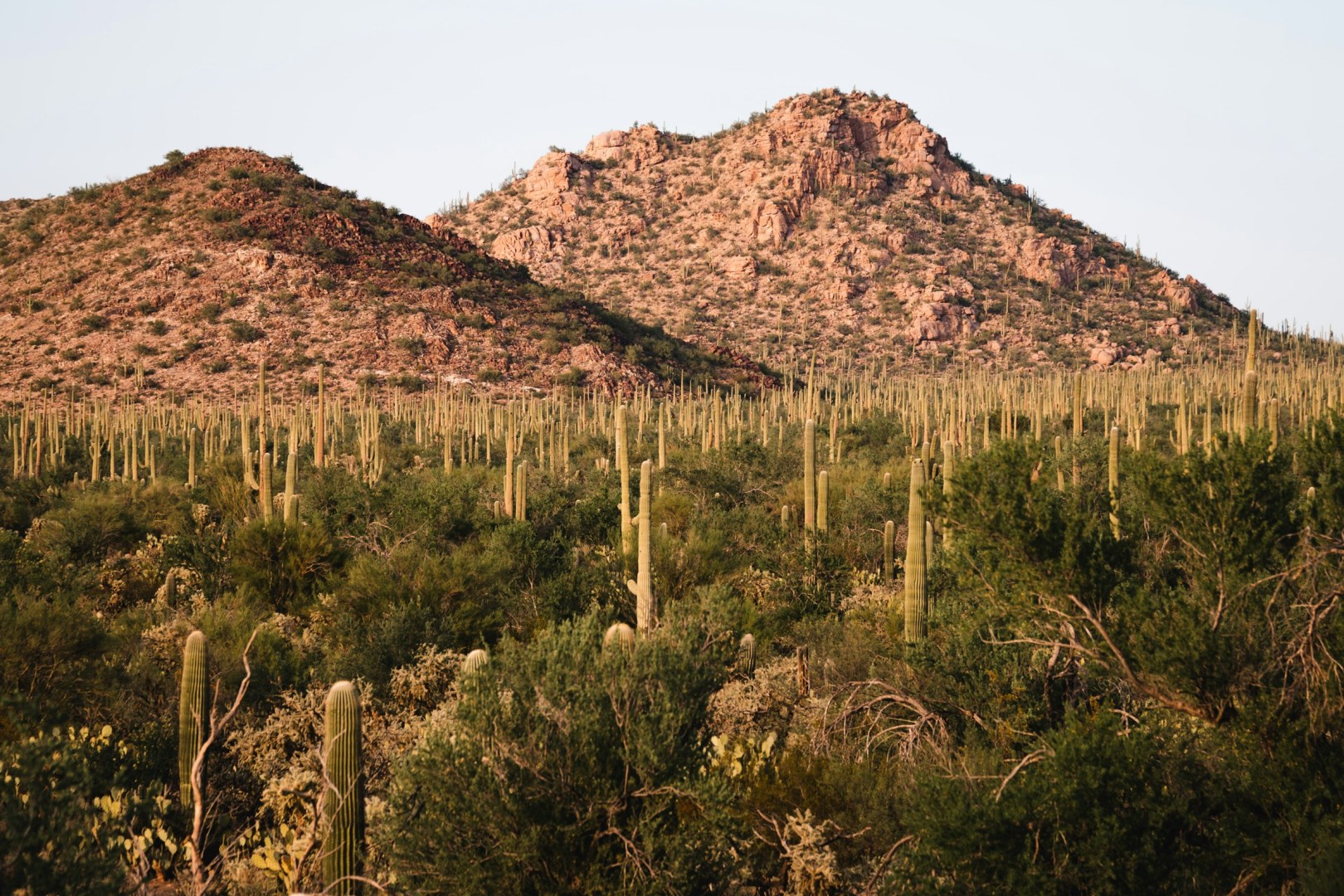  Photo Credit: Photo by Jacob Diehl on Unsplash