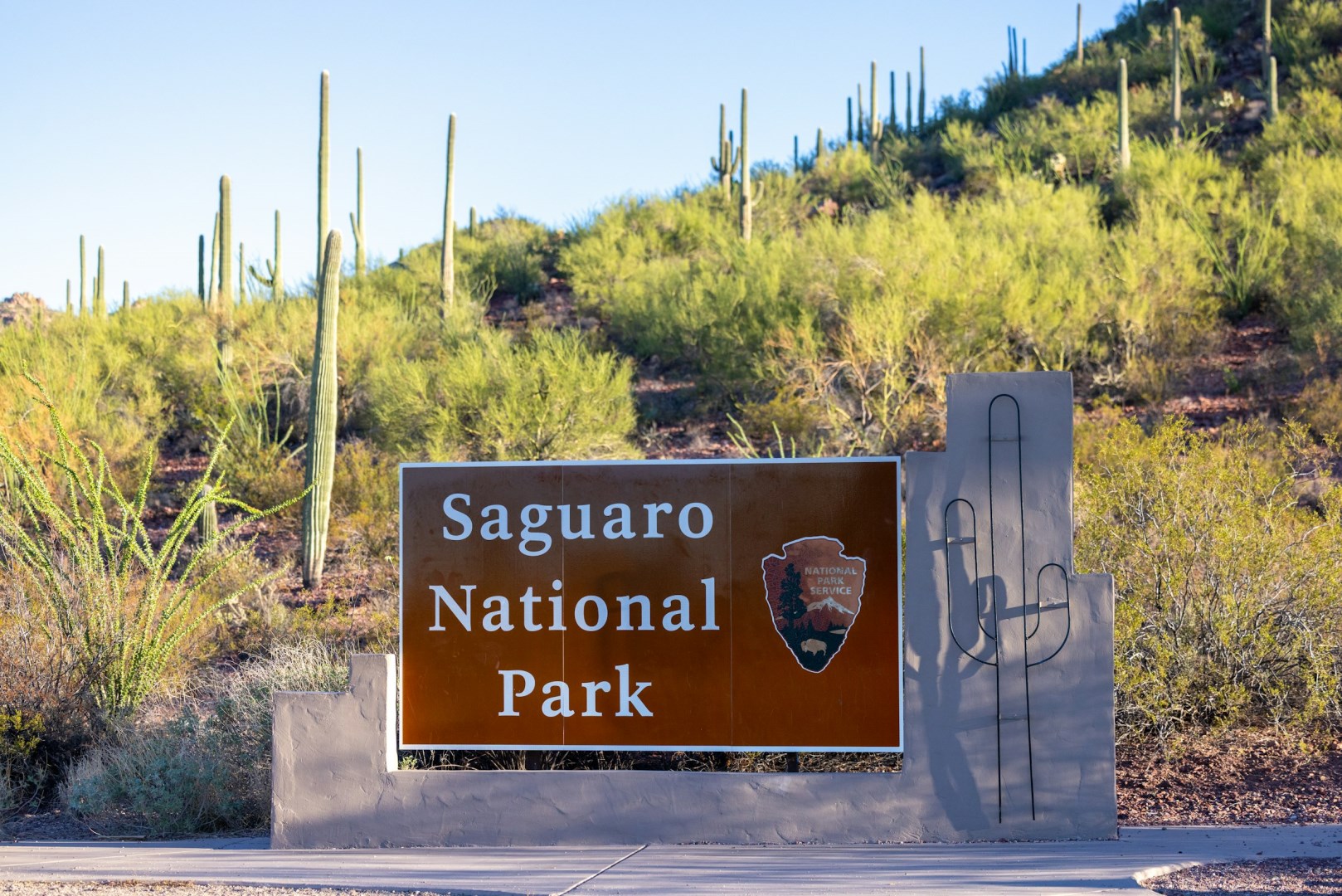 Saguaro National Park