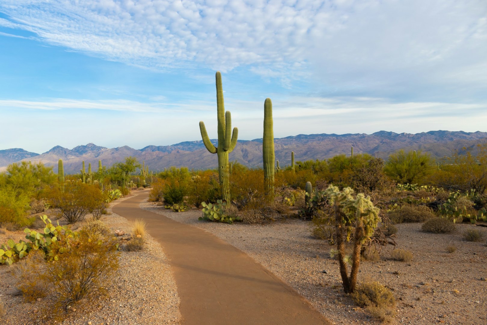  Photo Credit: Photo by Christoph von Gellhorn on Unsplash