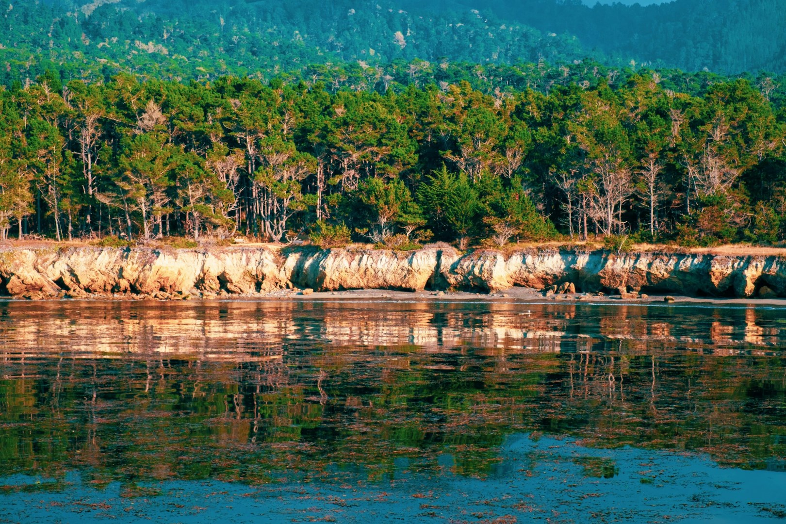 Point Lobos State Natural Reserve, - Photo Credit: Photo by Daniel Salcius on Unsplash