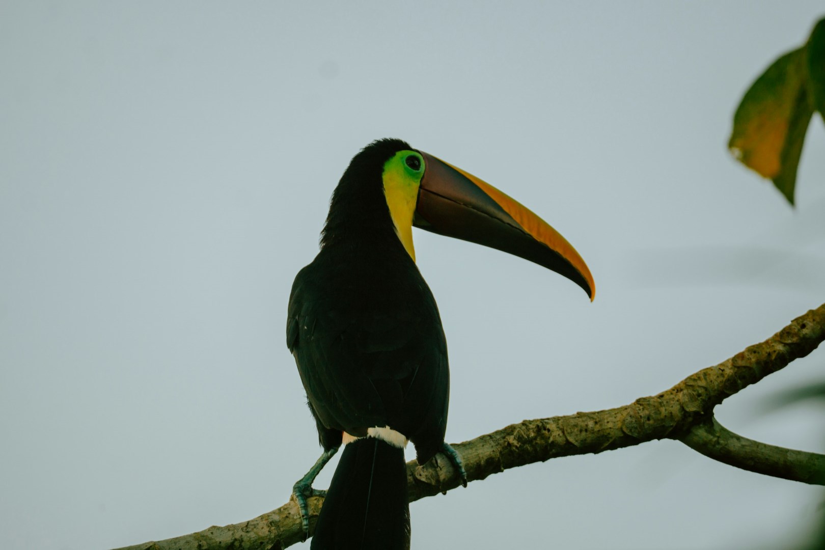  Photo Credit: Photo by Filiz Elaerts on Unsplash