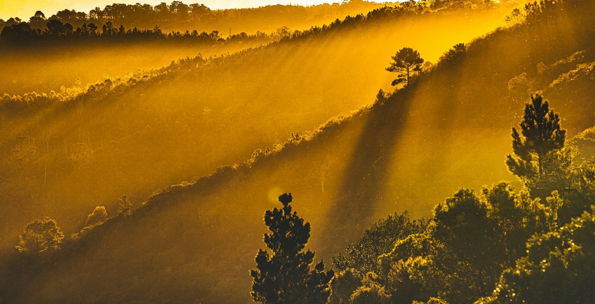  Photo Credit: Photo by Thomas Bennie on Unsplash