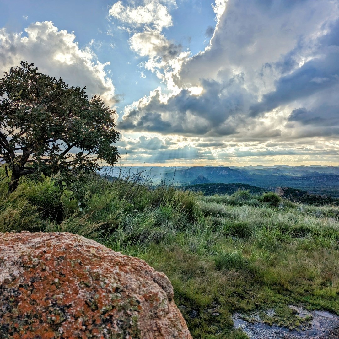  Photo Credit: Photo by OLIVER BRADLEY on Unsplash