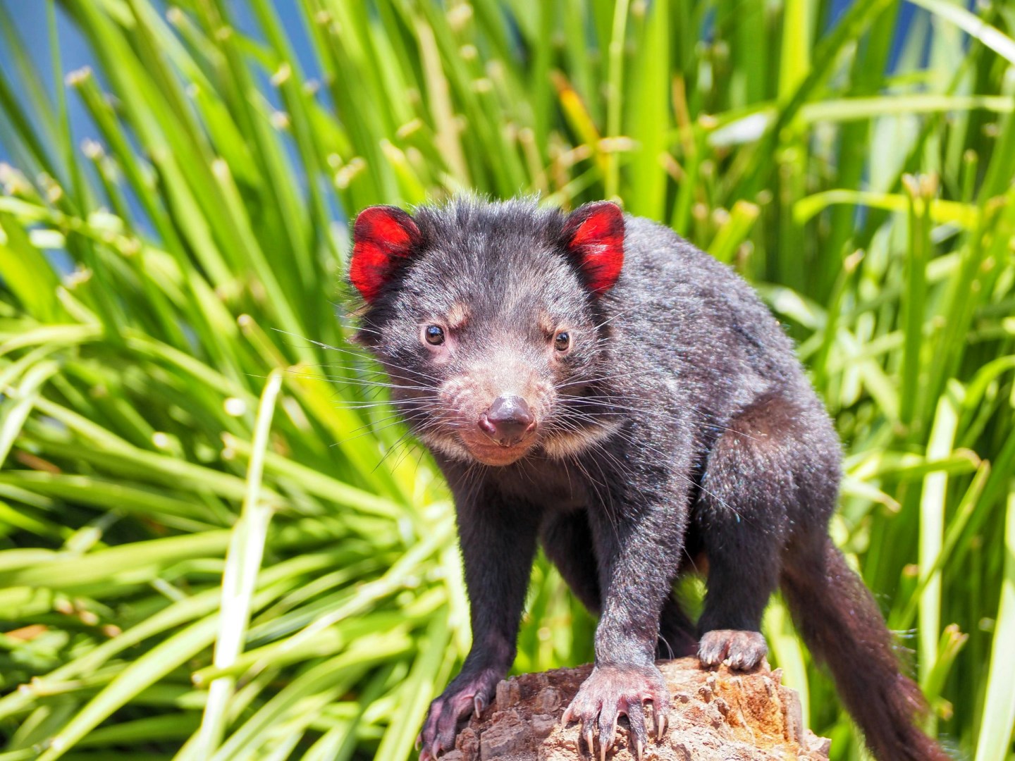  Photo Credit: Photo by Kunal Kalra on Unsplash