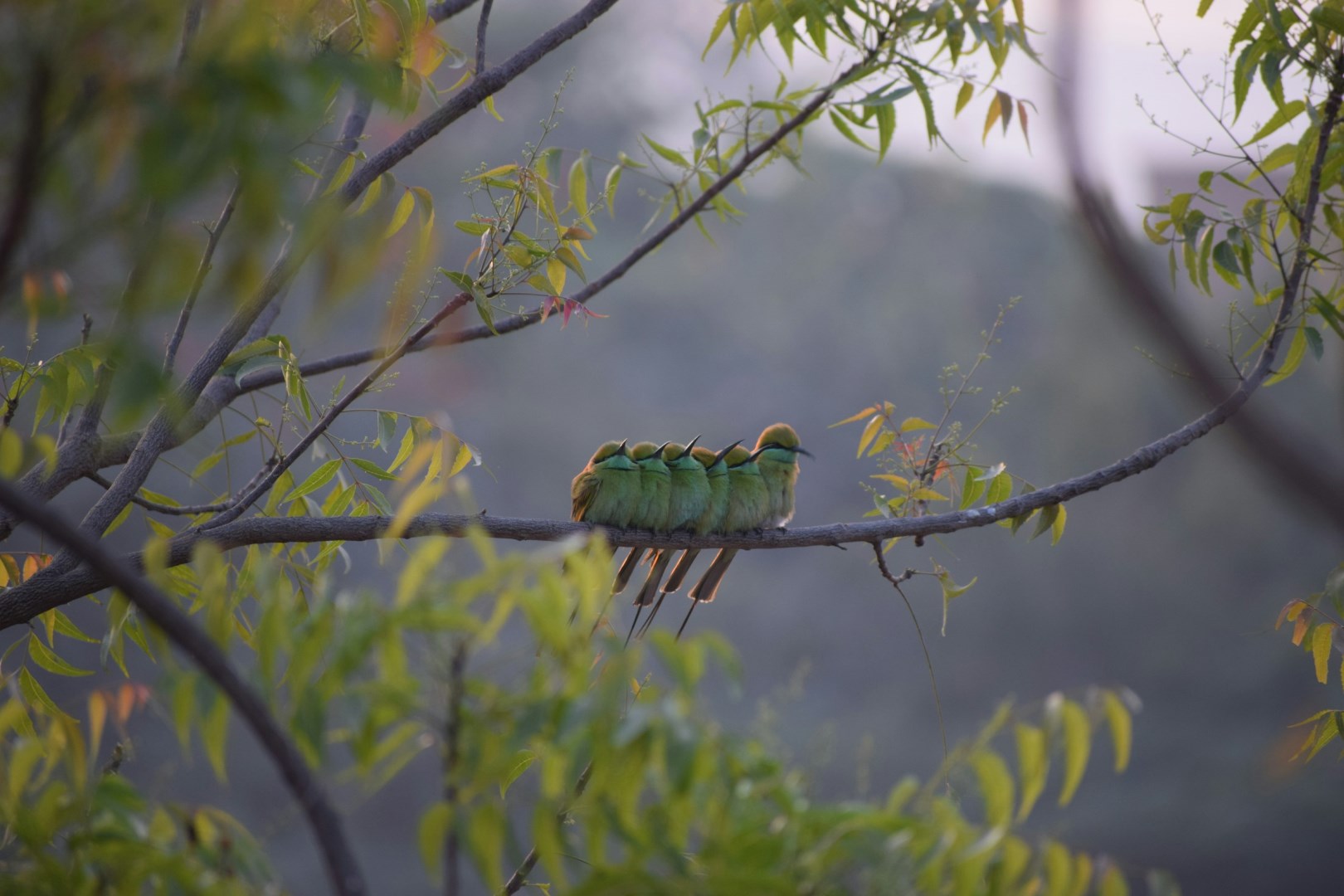  Photo Credit: Photo by Nikhil Nyayadhish on Unsplash