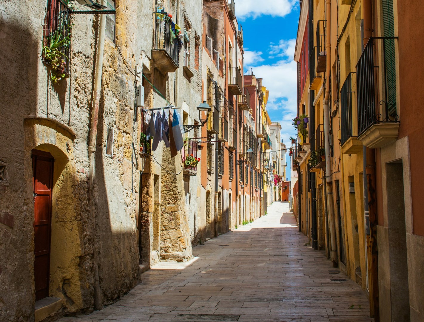  Photo Credit: Photo by M. R. on Unsplash