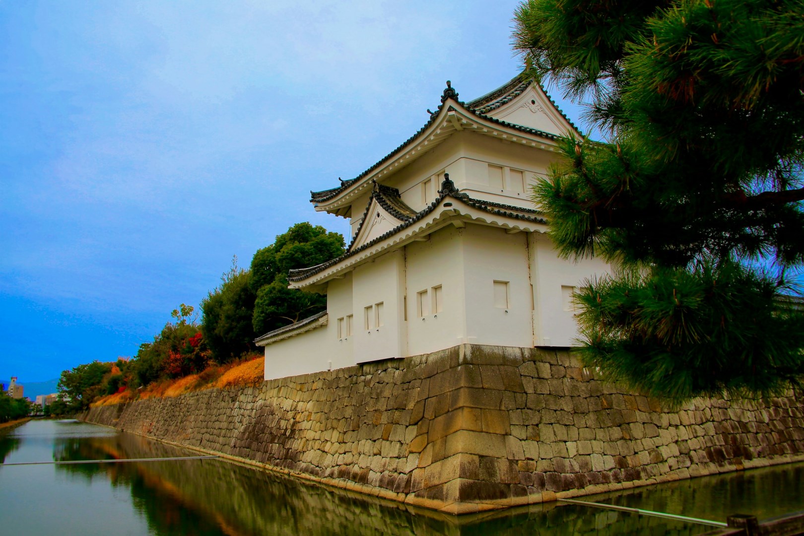  Photo Credit: Photo by Bo Zhang on Unsplash