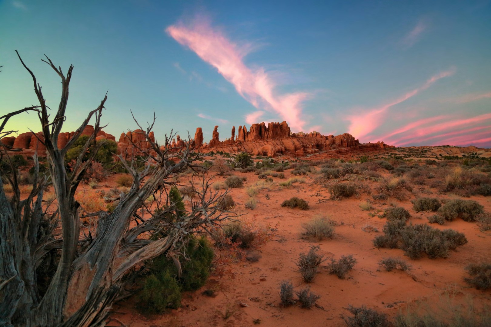  Photo Credit: Photo by Gary Yost on Unsplash
