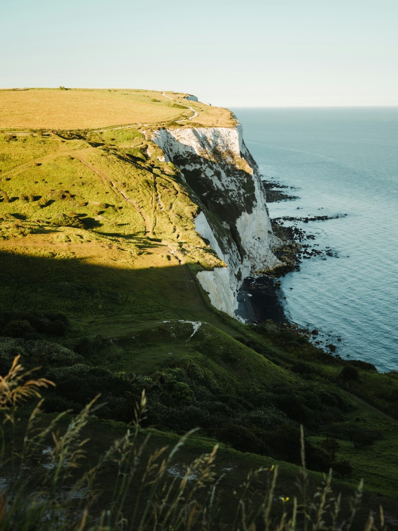  Photo Credit: Photo by ZHENYU LUO on Unsplash