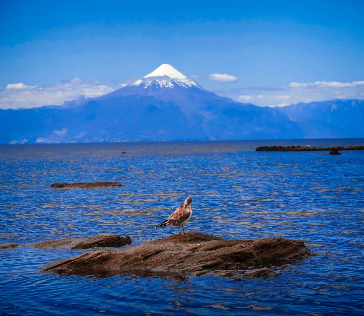  Photo Credit: Photo by Hector Ramon Perez on Unsplash