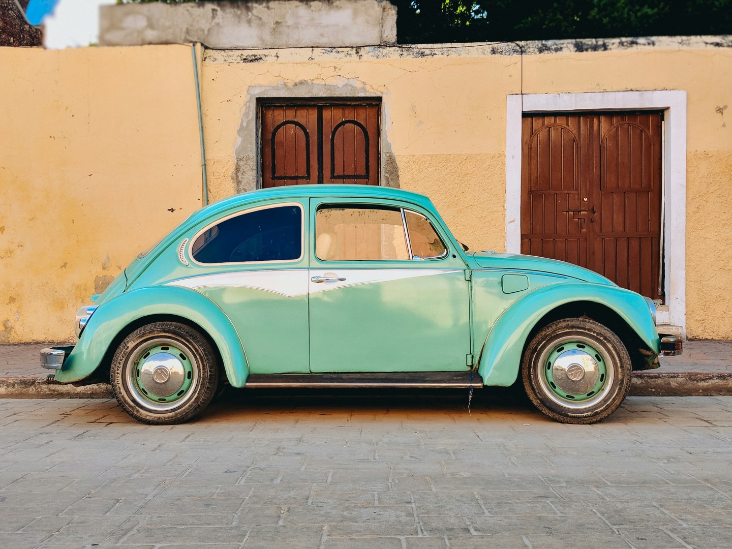  Photo Credit: Photo by Dan Gold on Unsplash