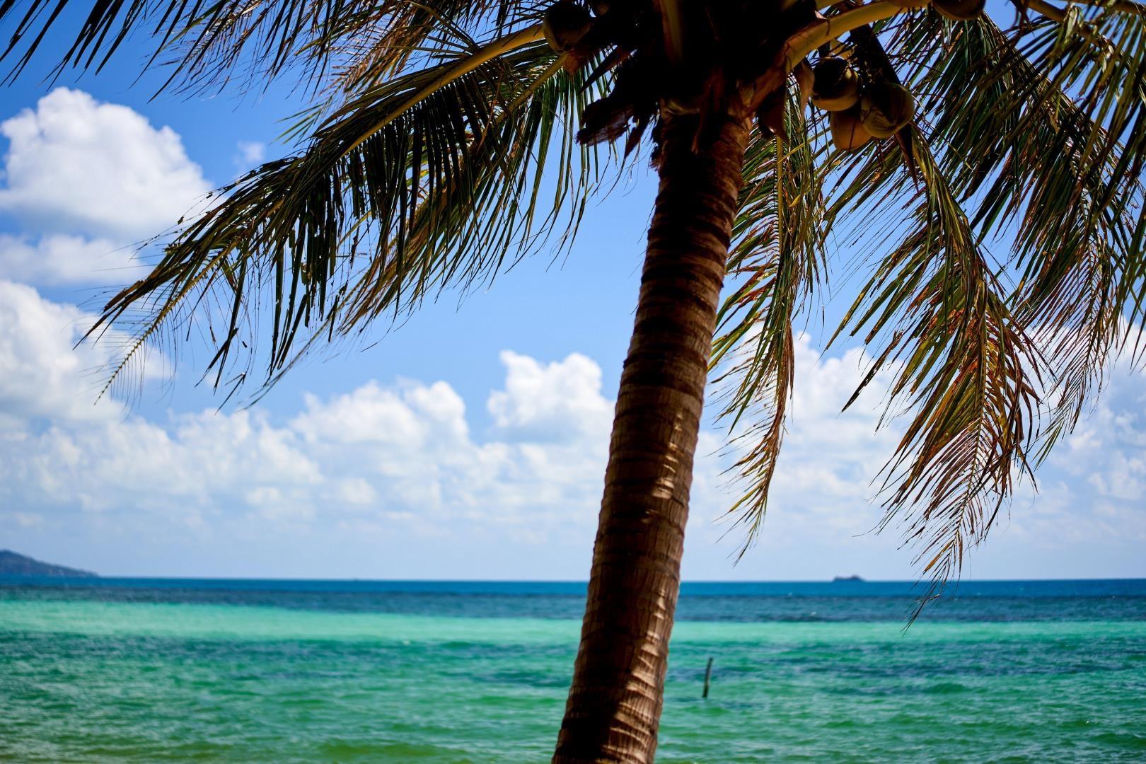  Photo Credit: Raimond Klavins