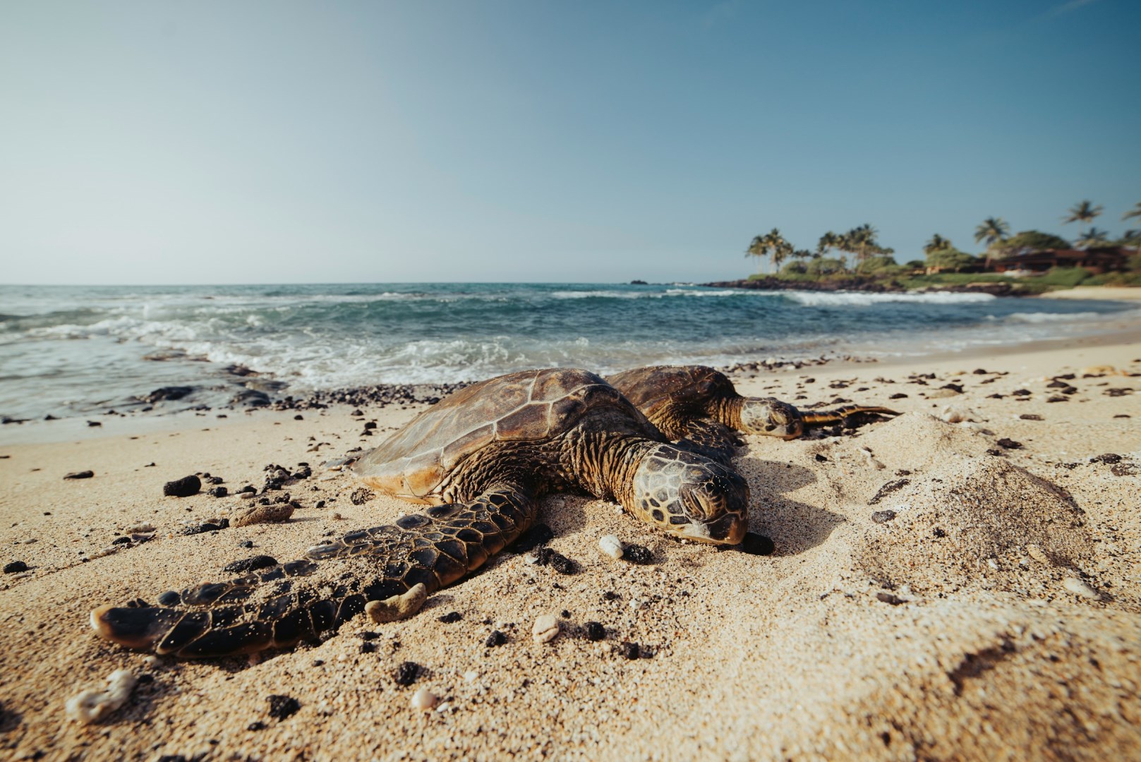  Photo Credit: Photo by Kyle McLeod on Unsplash
