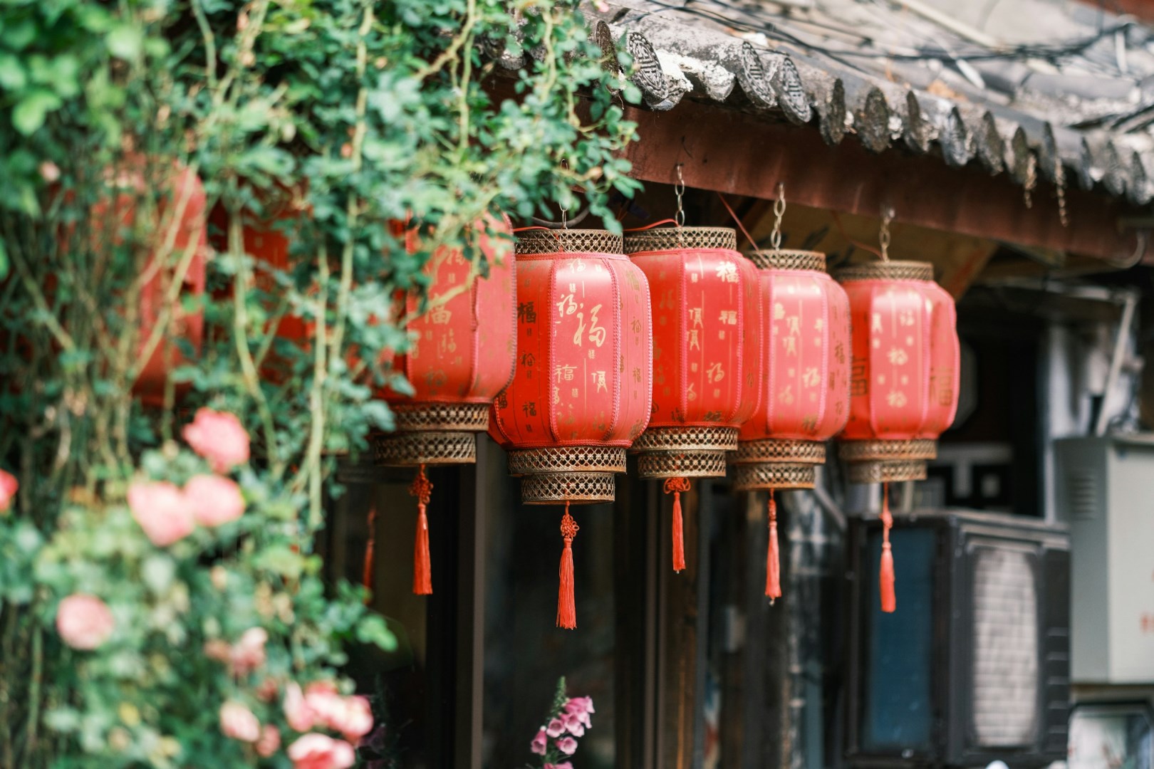  Photo Credit: Photo by Hieu Do Quang on Unsplash