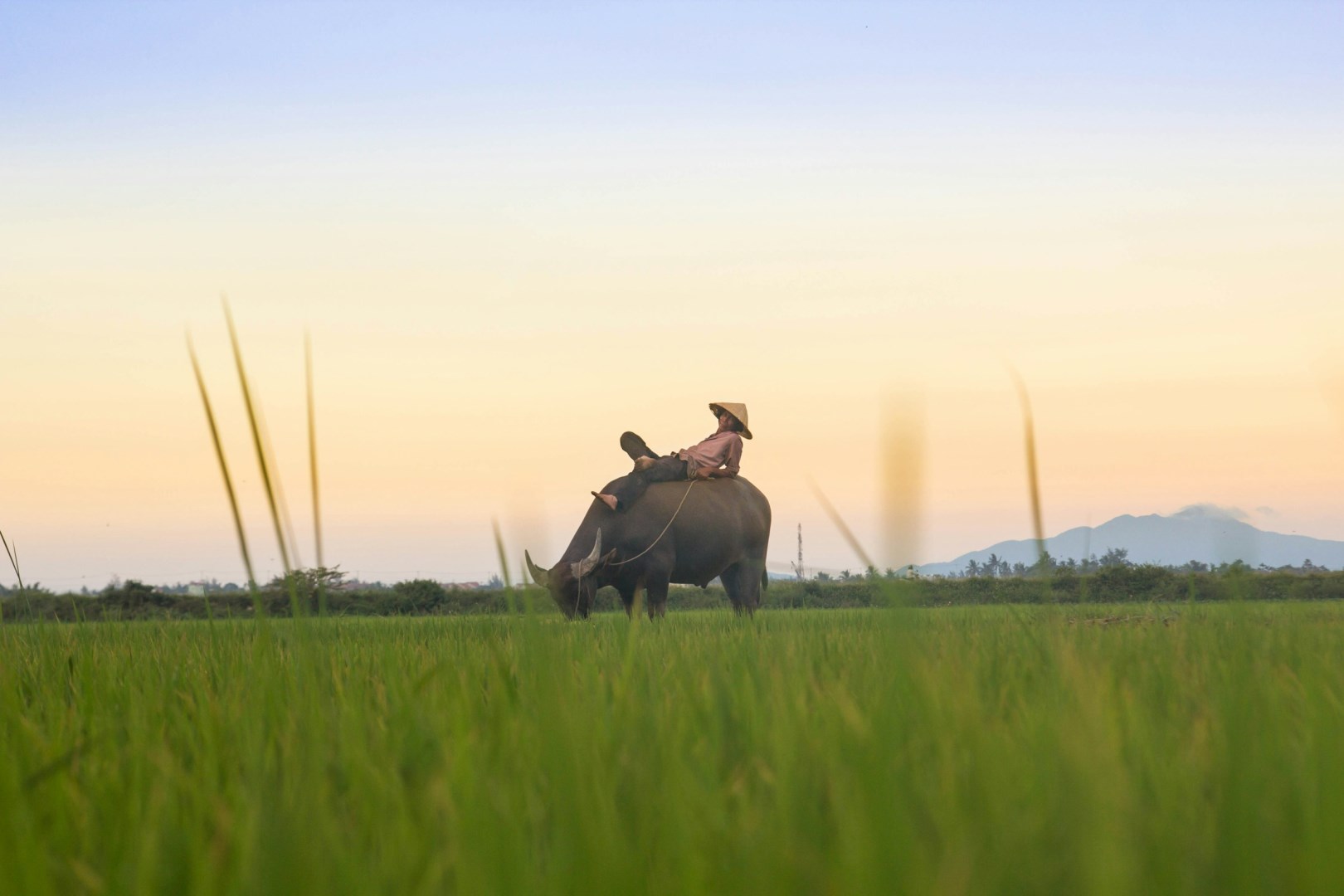  Photo Credit: Photo by Kiril Dobrev on Unsplash
